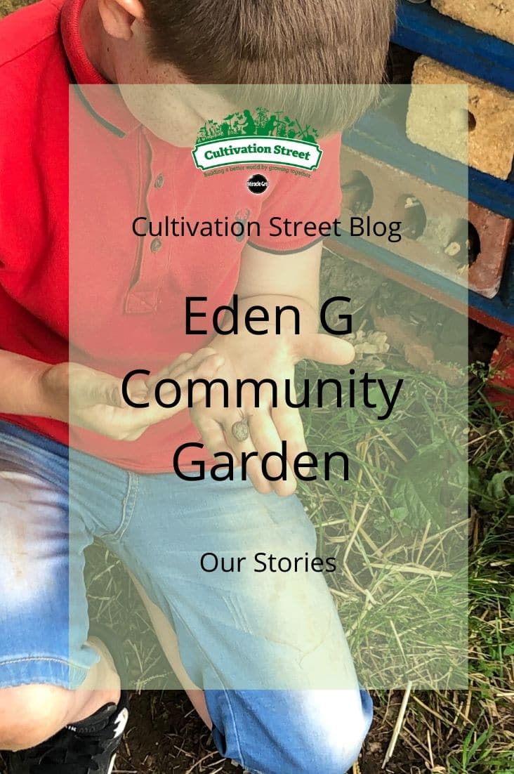 Copy of CultivationStreet Blog (2)