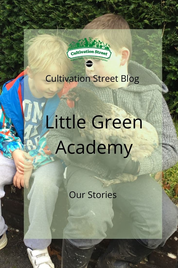 Copy of CultivationStreet Blog