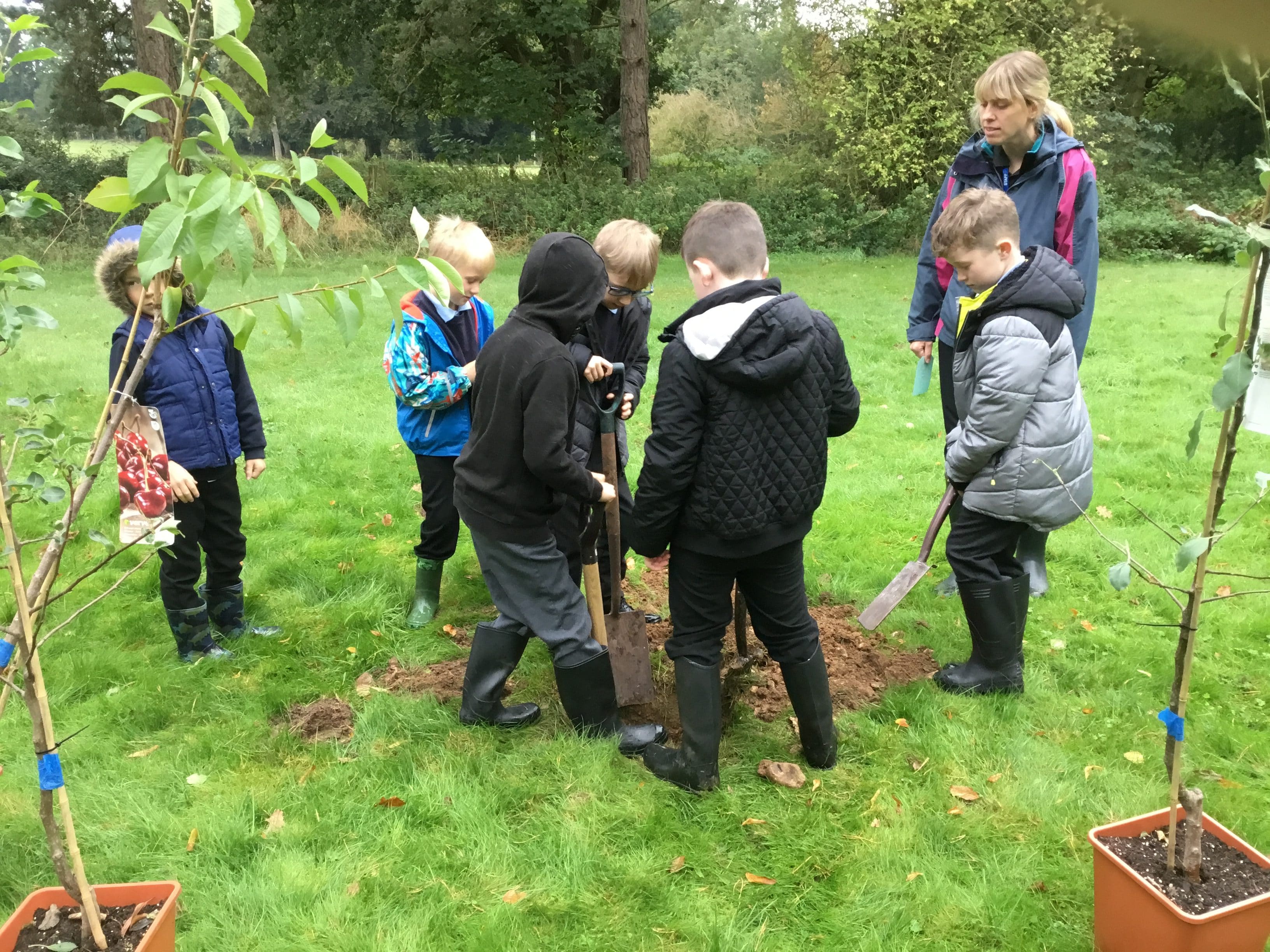 Our Stories - Little Green Academy - Cultivation Street