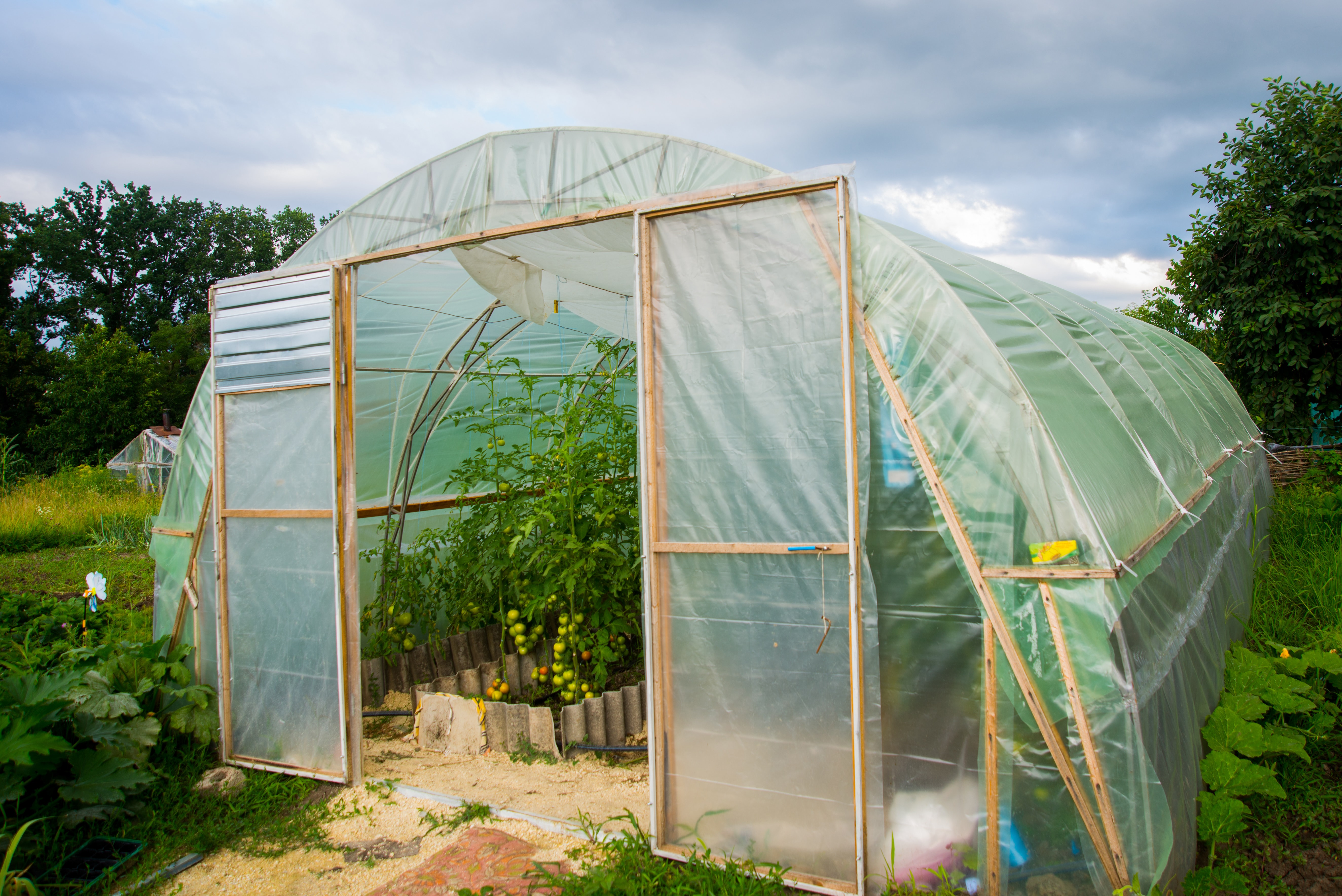 Big greenhouse in the garden summer