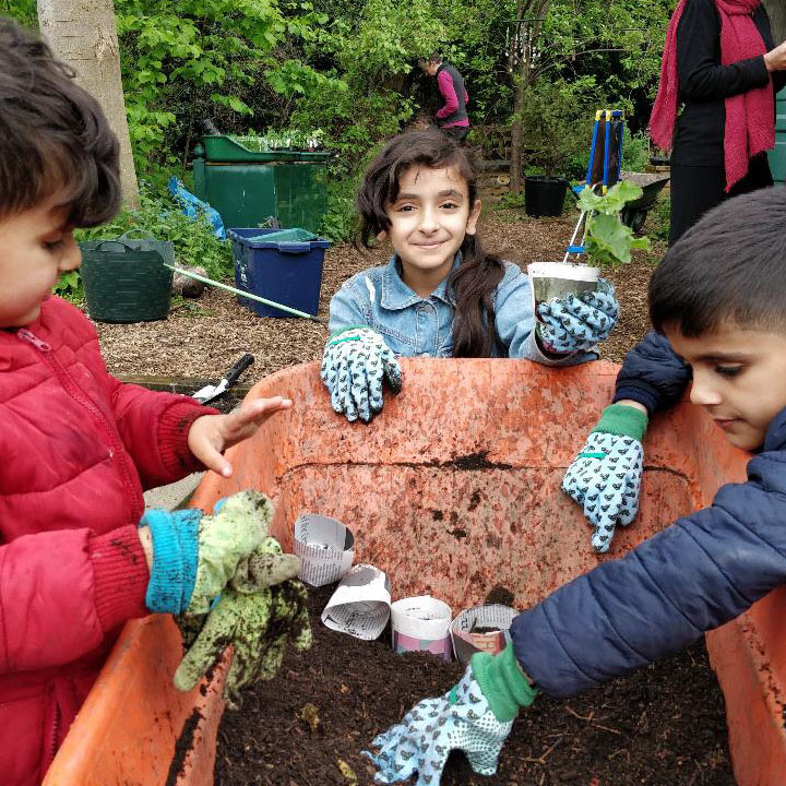 Tinsley Allotment - North Winner