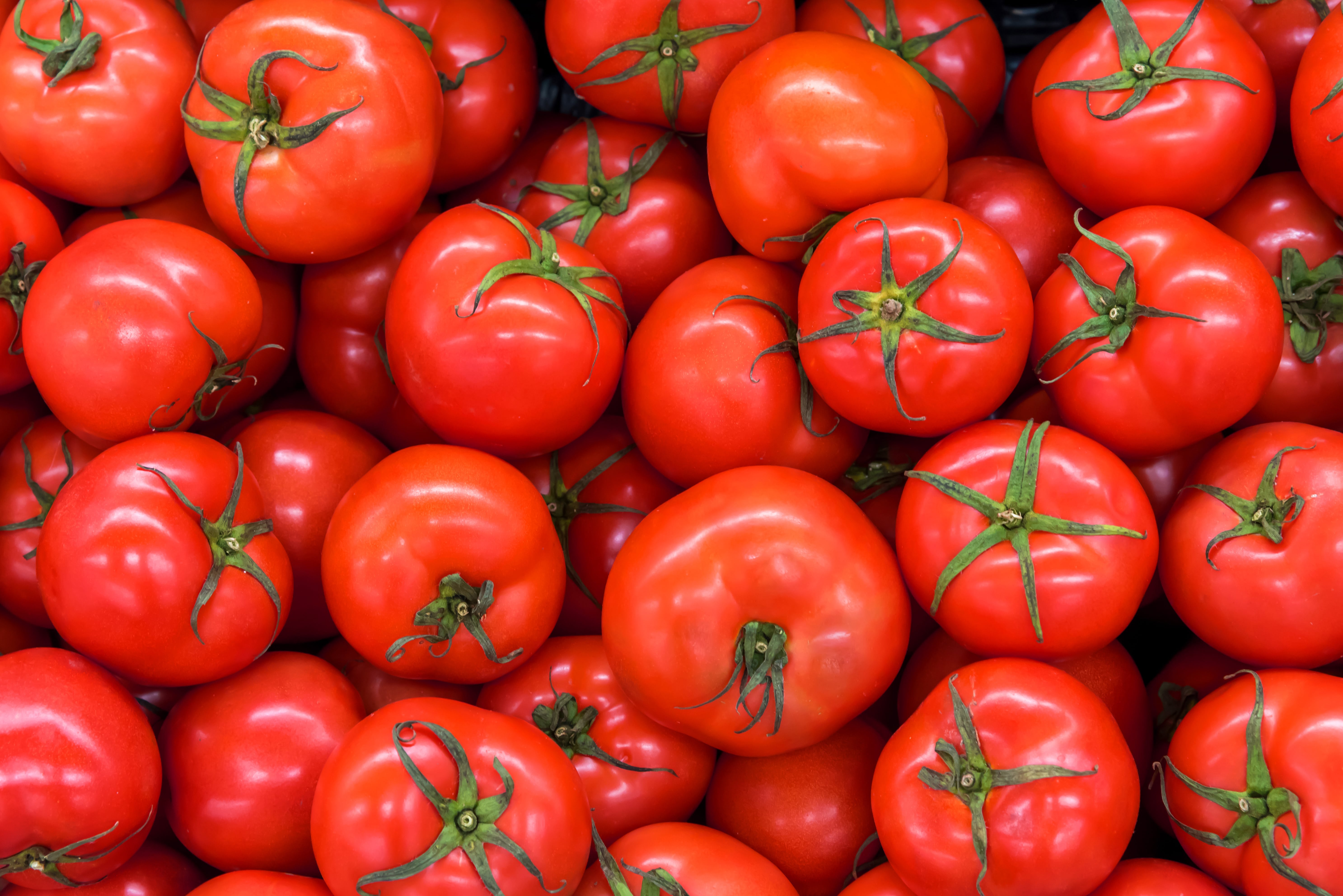 Delicious red tomatoes in Summer tray market agriculture farm full of organic. Fresh tomatoes, It can be used as background