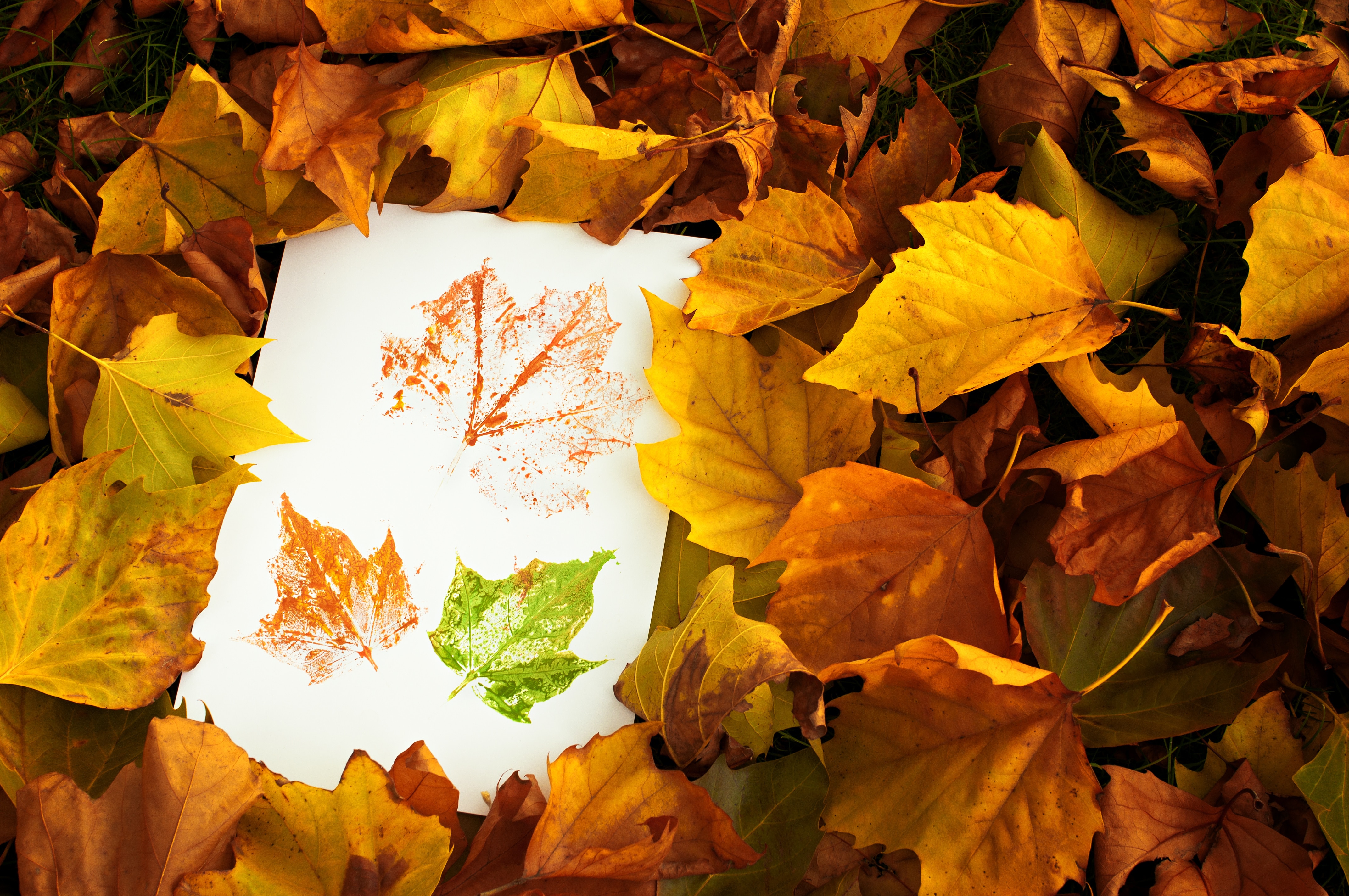 Painted autumn leaf prints amongst beautiful fall leaves