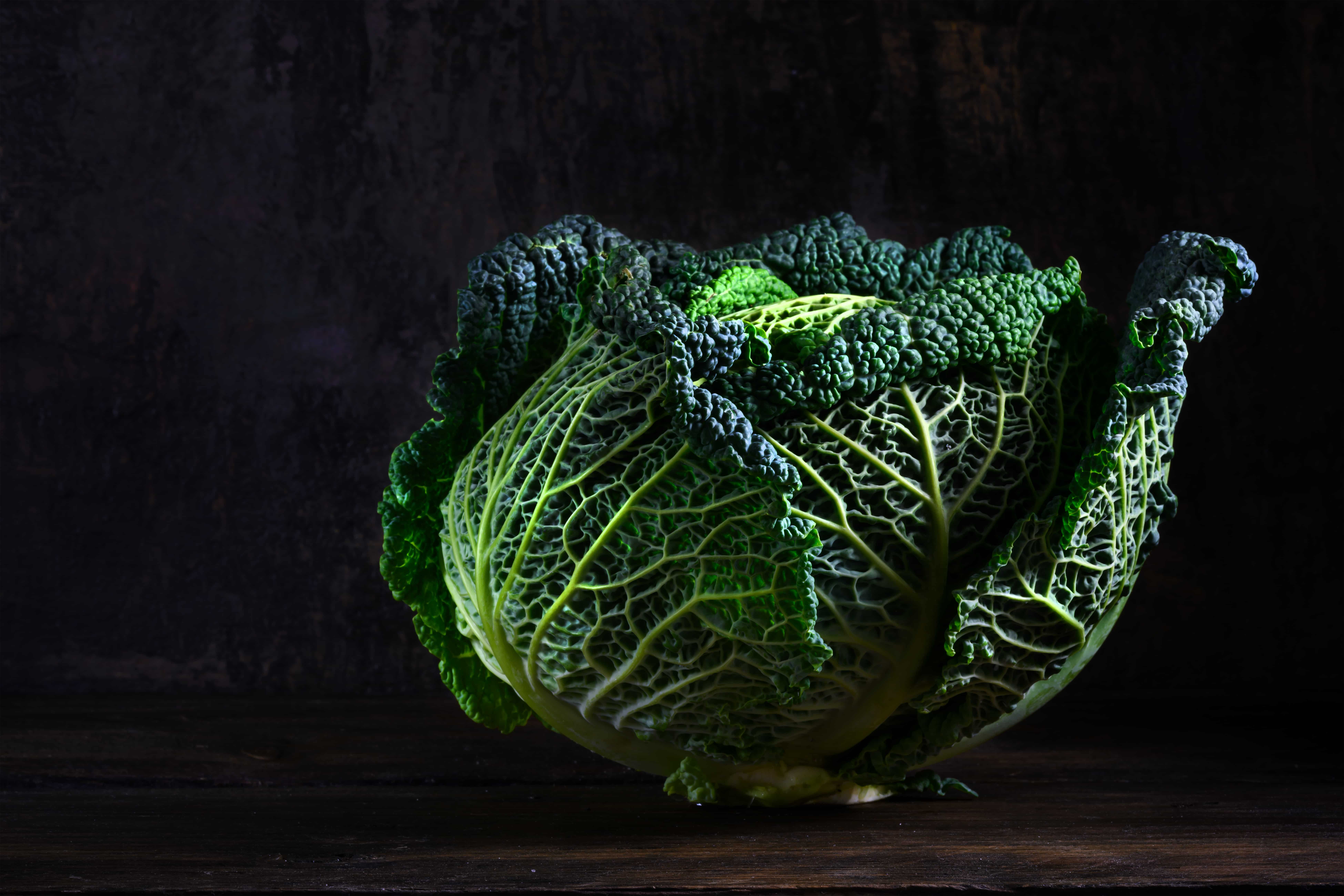 green savoy cabbage, a healthy winter vegetable in dramatic light on dark and moody rustic wood with copy space, selected focus