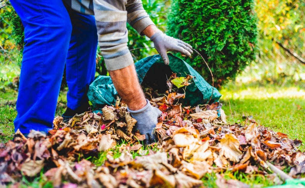 Seasonal raking of leaves in the garden. Concept of cleaning and caring for the garden. Man rakes withered and colorful leaves in the garden. Autumn cleaning before winter, spring cleaning garden.