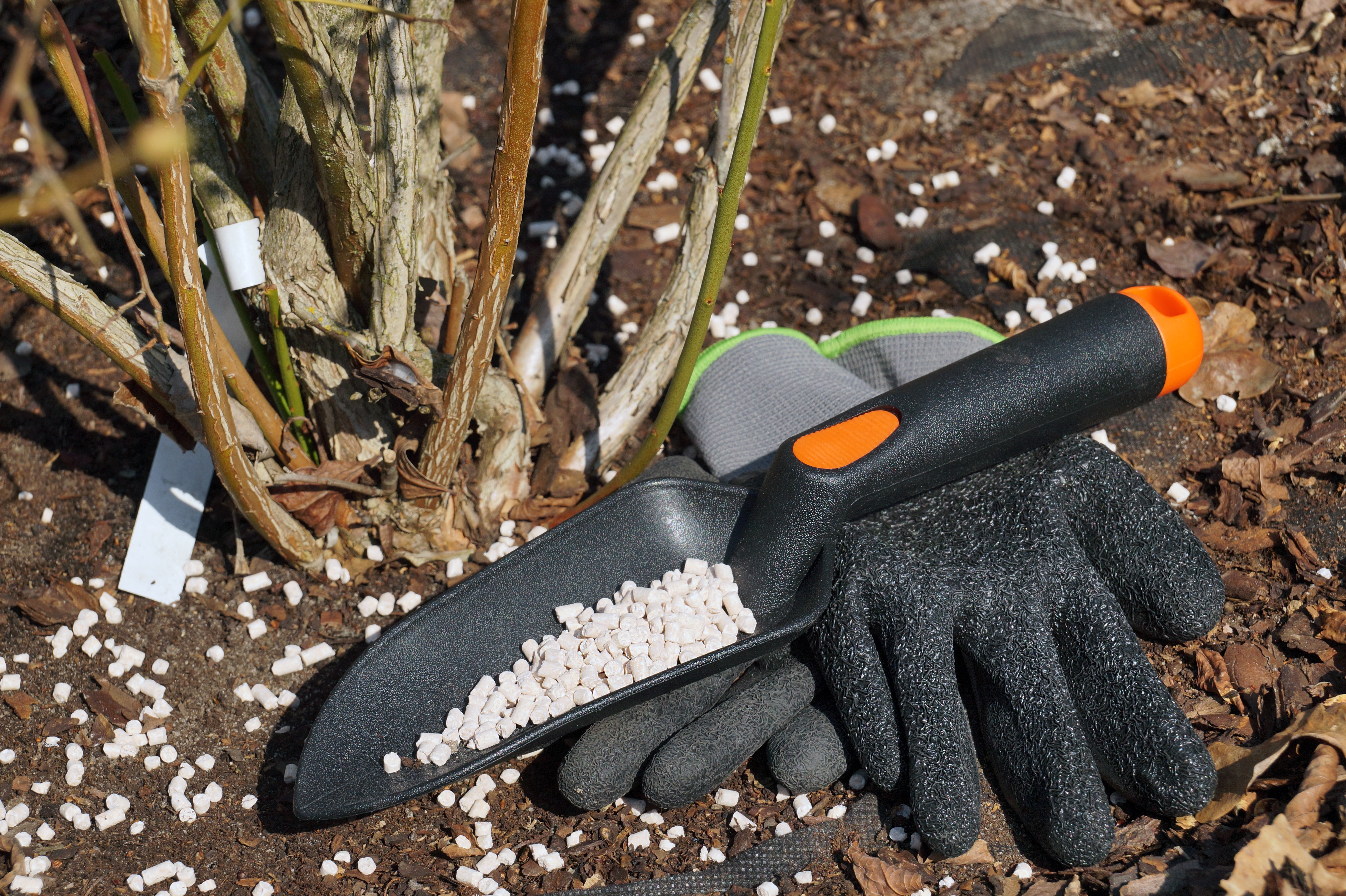 Prepared gloves and a spatula with fertilizer. Fertilizing shrubs in early spring before vegetation.