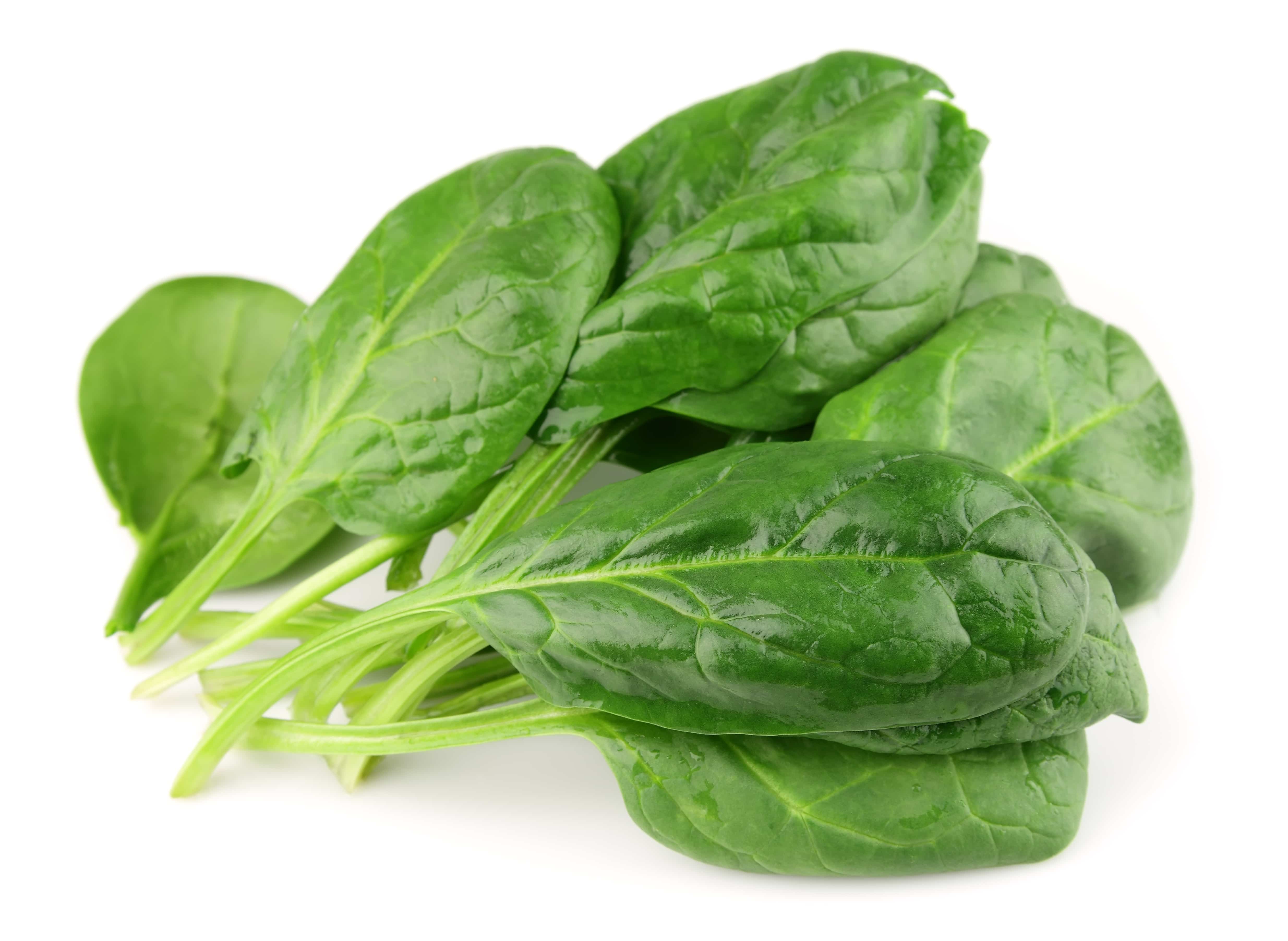 Spinach on white close up