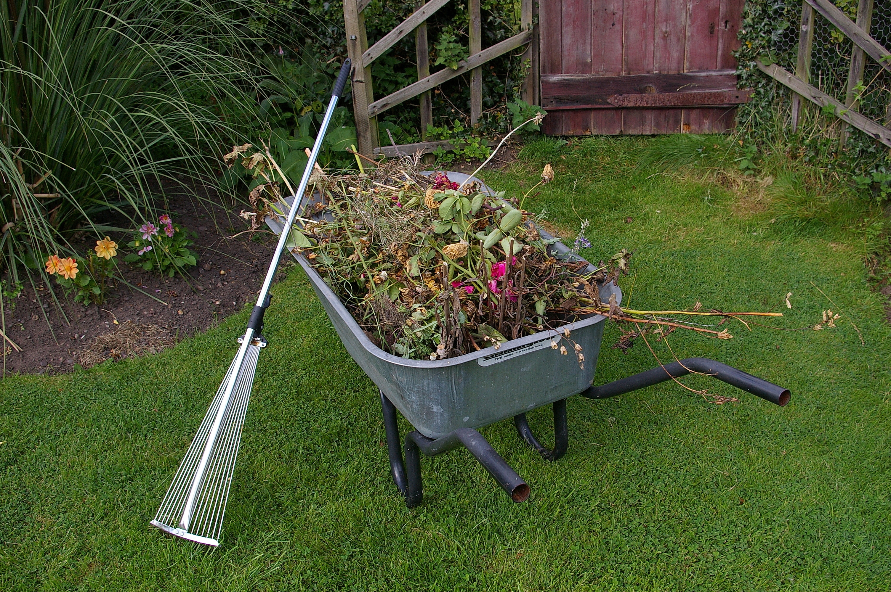 wheelbarrow with garden waste