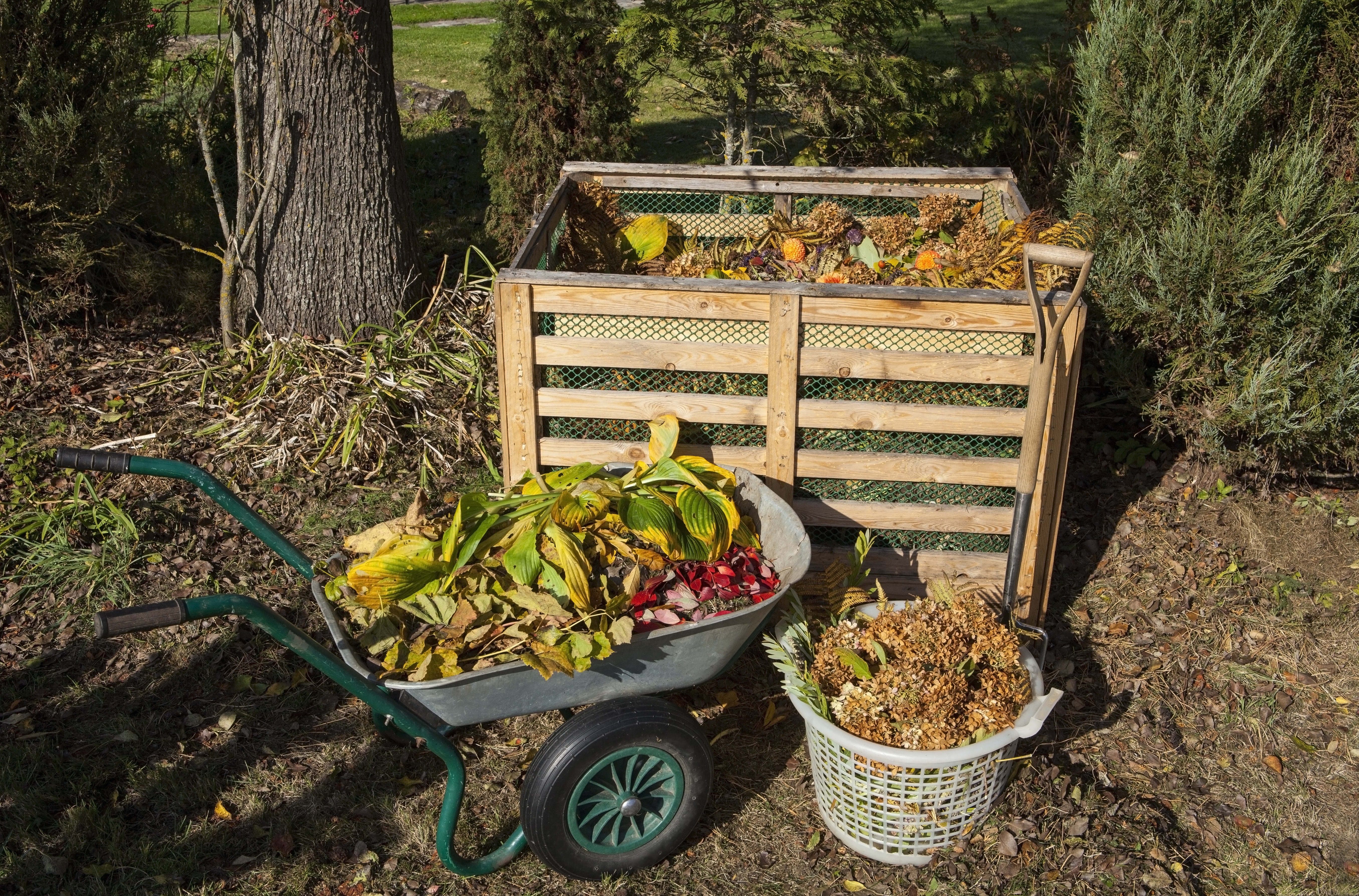 compost bin