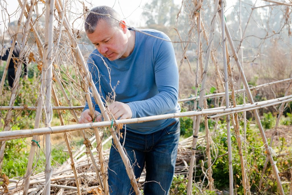 Male horticulturist working with wooden girders in  garden outdoor