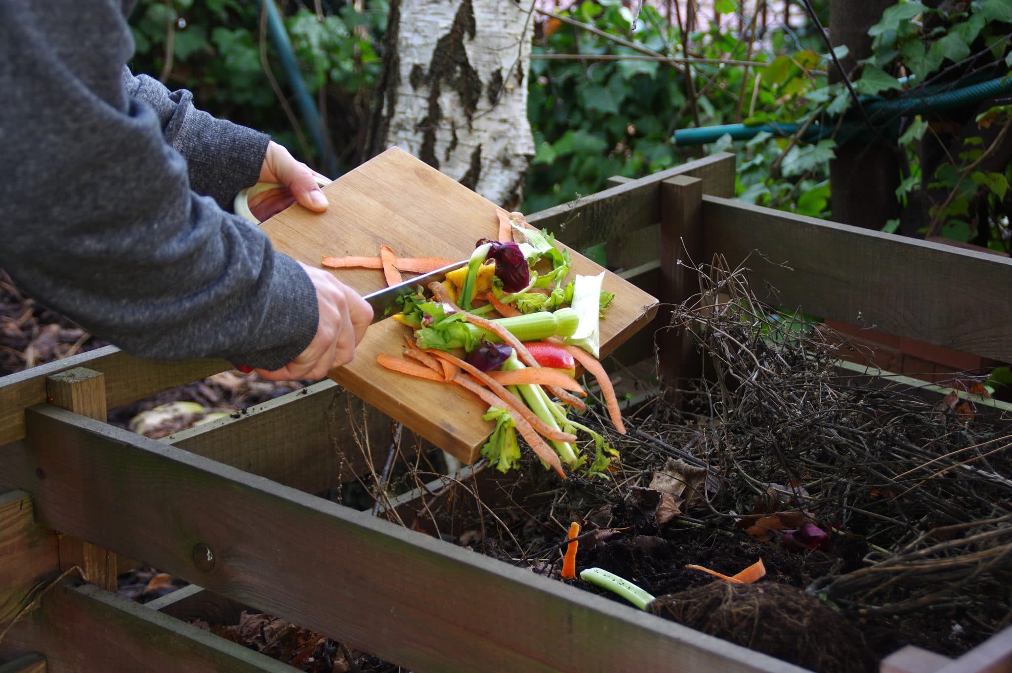 Activity of the Week Start a Compost Heap Cultivation Street