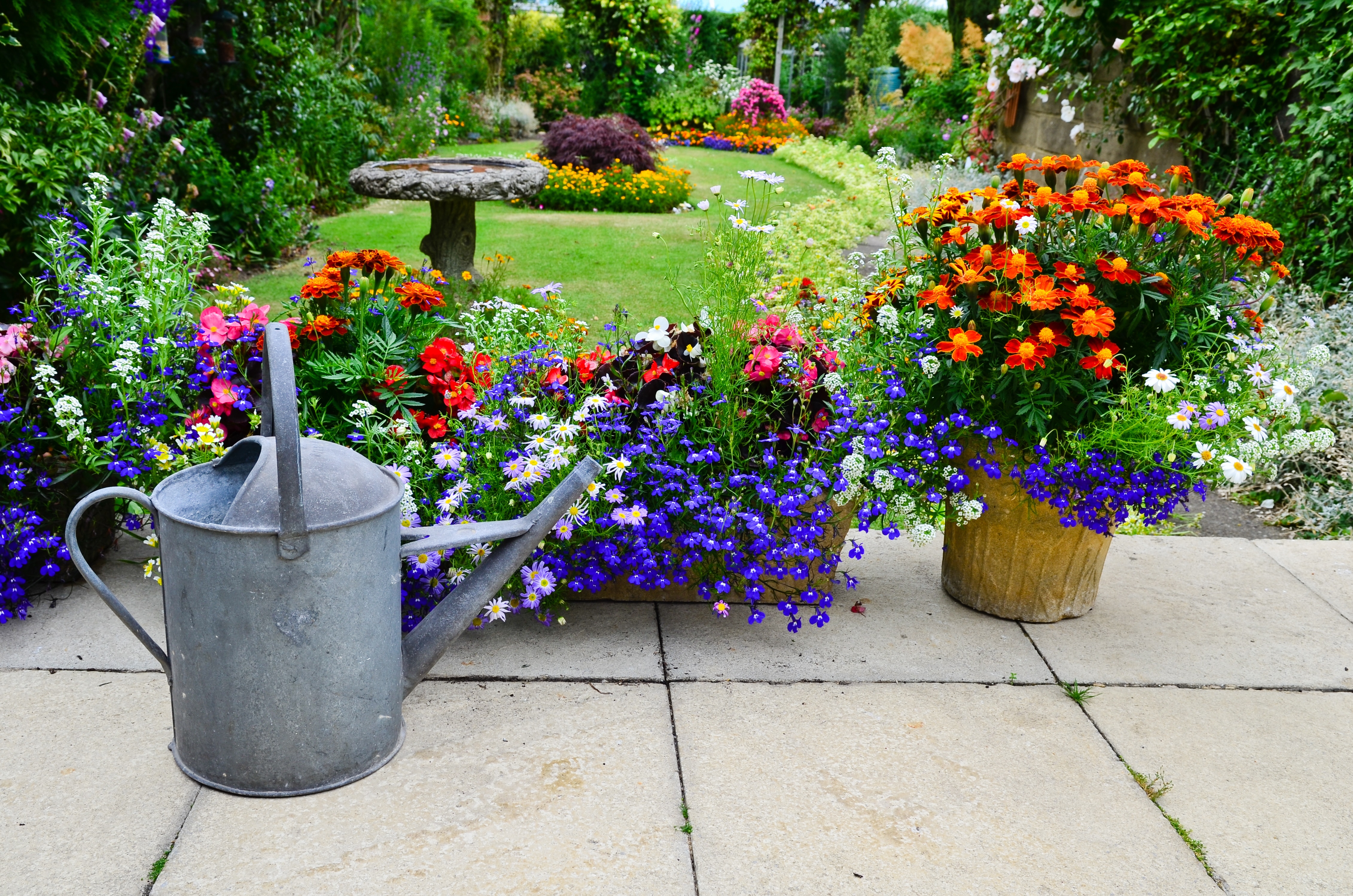 Patio flower display