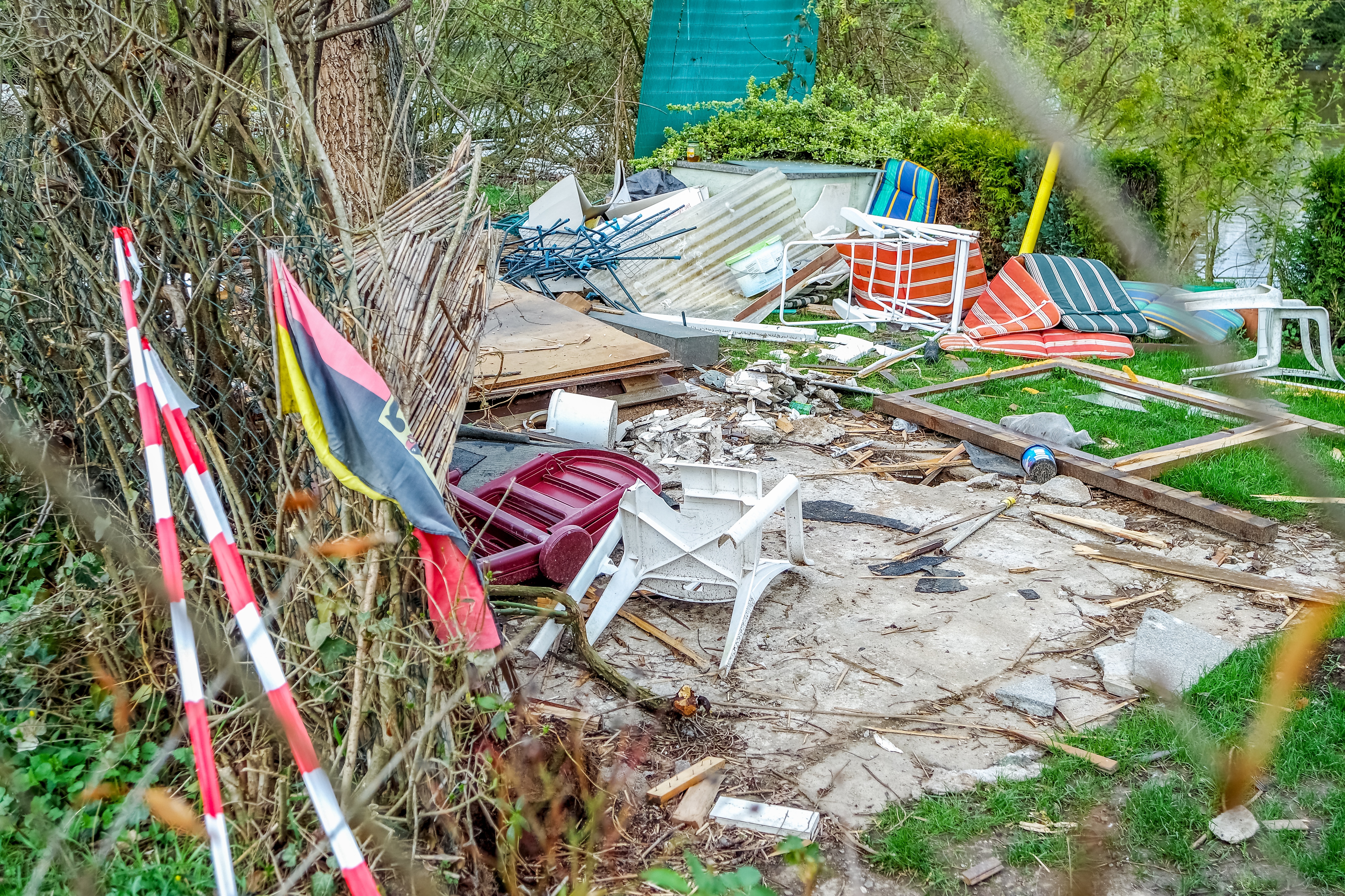 Wildes Chaos im Schrebergarten