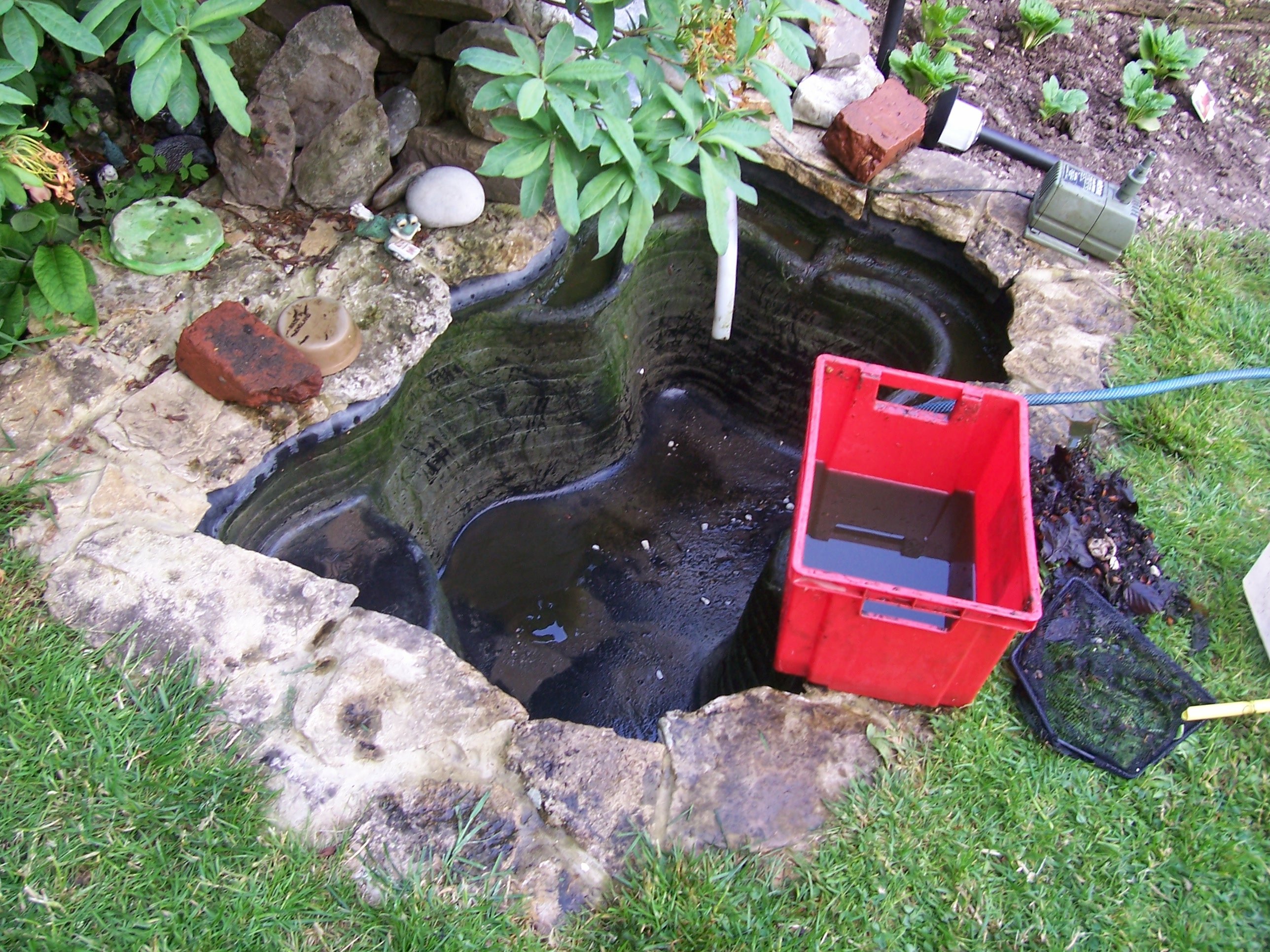 cleaning the pond