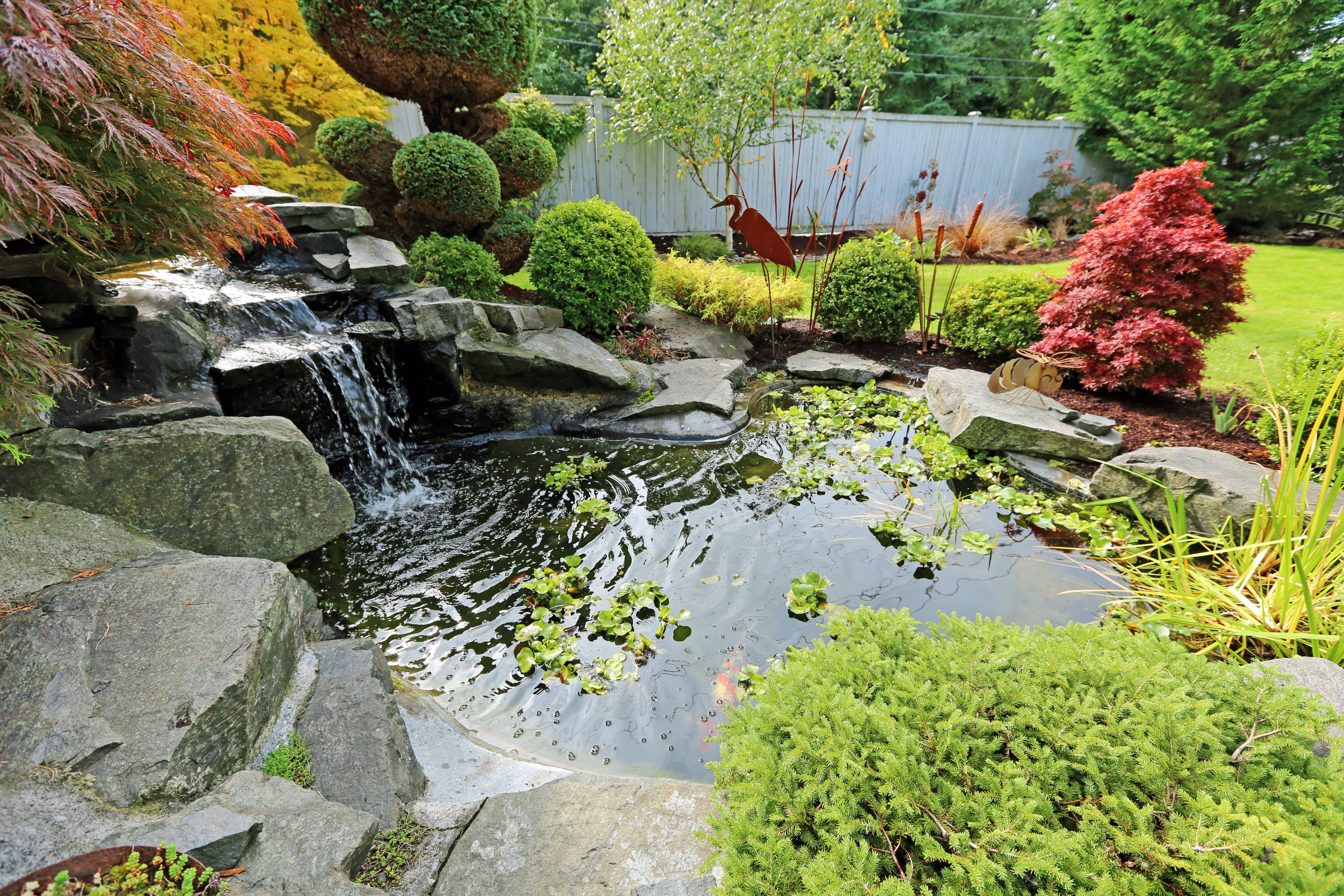 Tropical landscape design on backyard. View of small pond, trimmed bushes and small waterfall