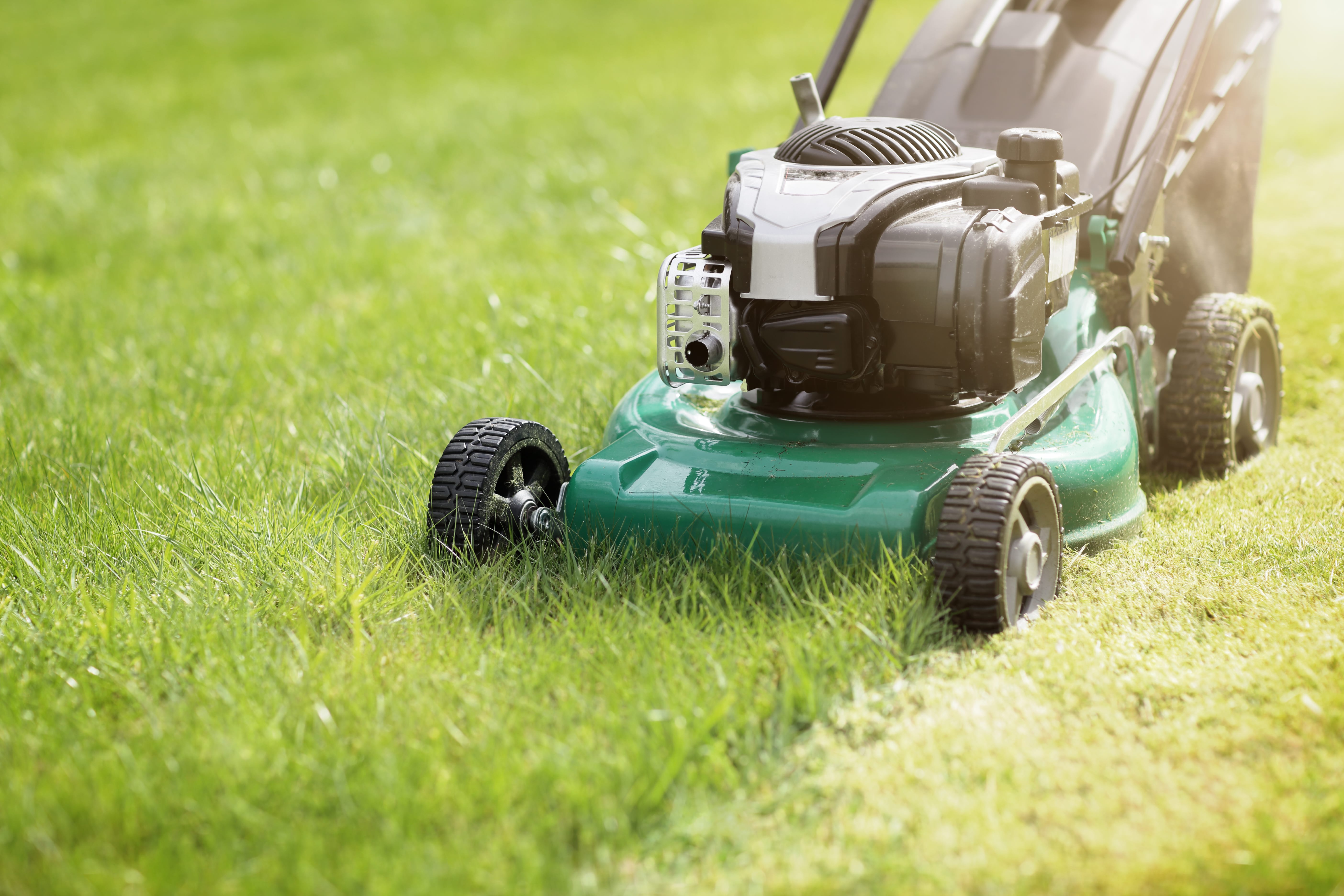 Mowing or cutting the long grass with a green lawn mower in the summer sun