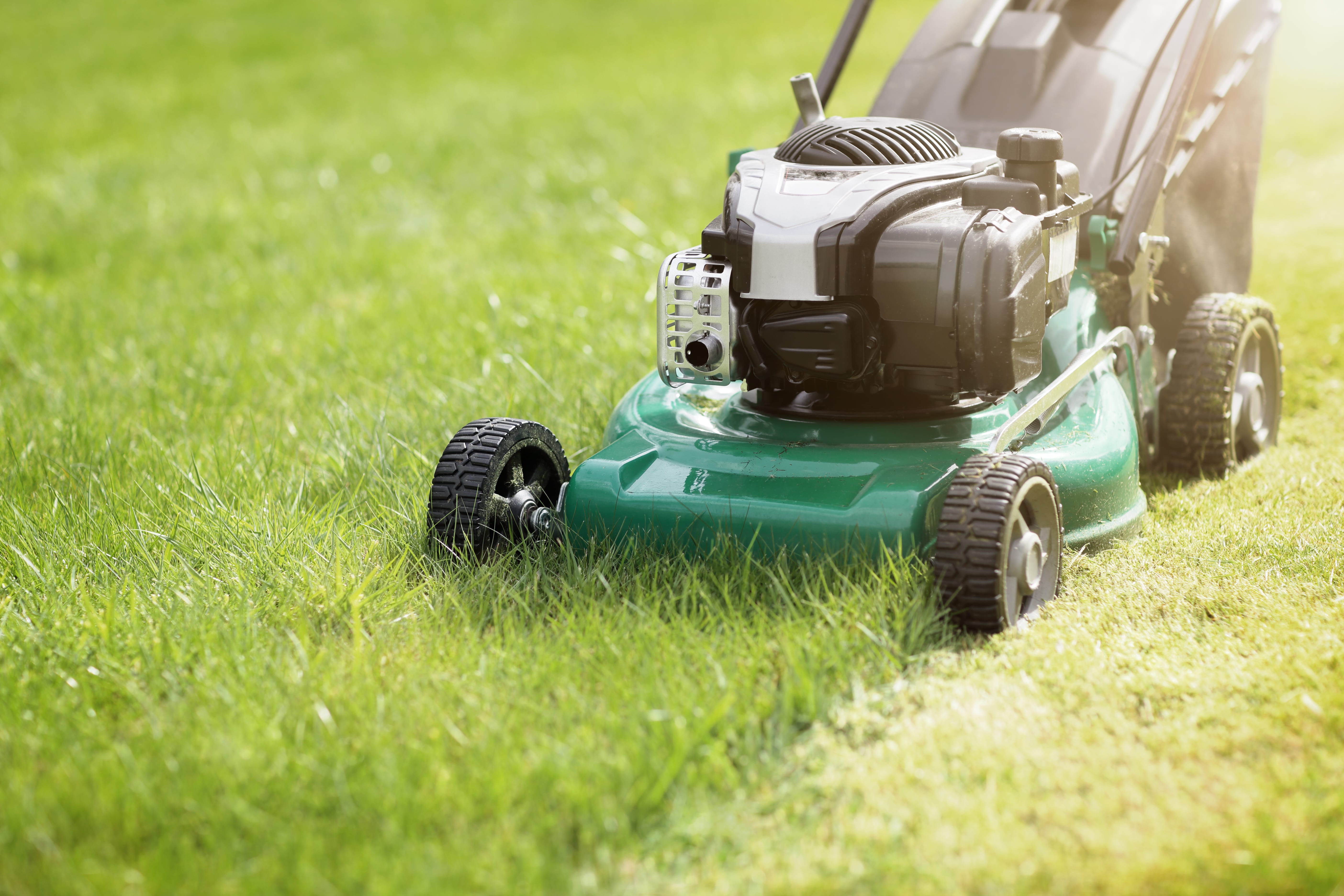 Mow the lawn. Косилка газона Грин Гуд 12. Газонокосилка фон. Green Team газонокосилка бензиновая. Бензиновая газонокосилка (триммер) для стрижки газона модель cg520.