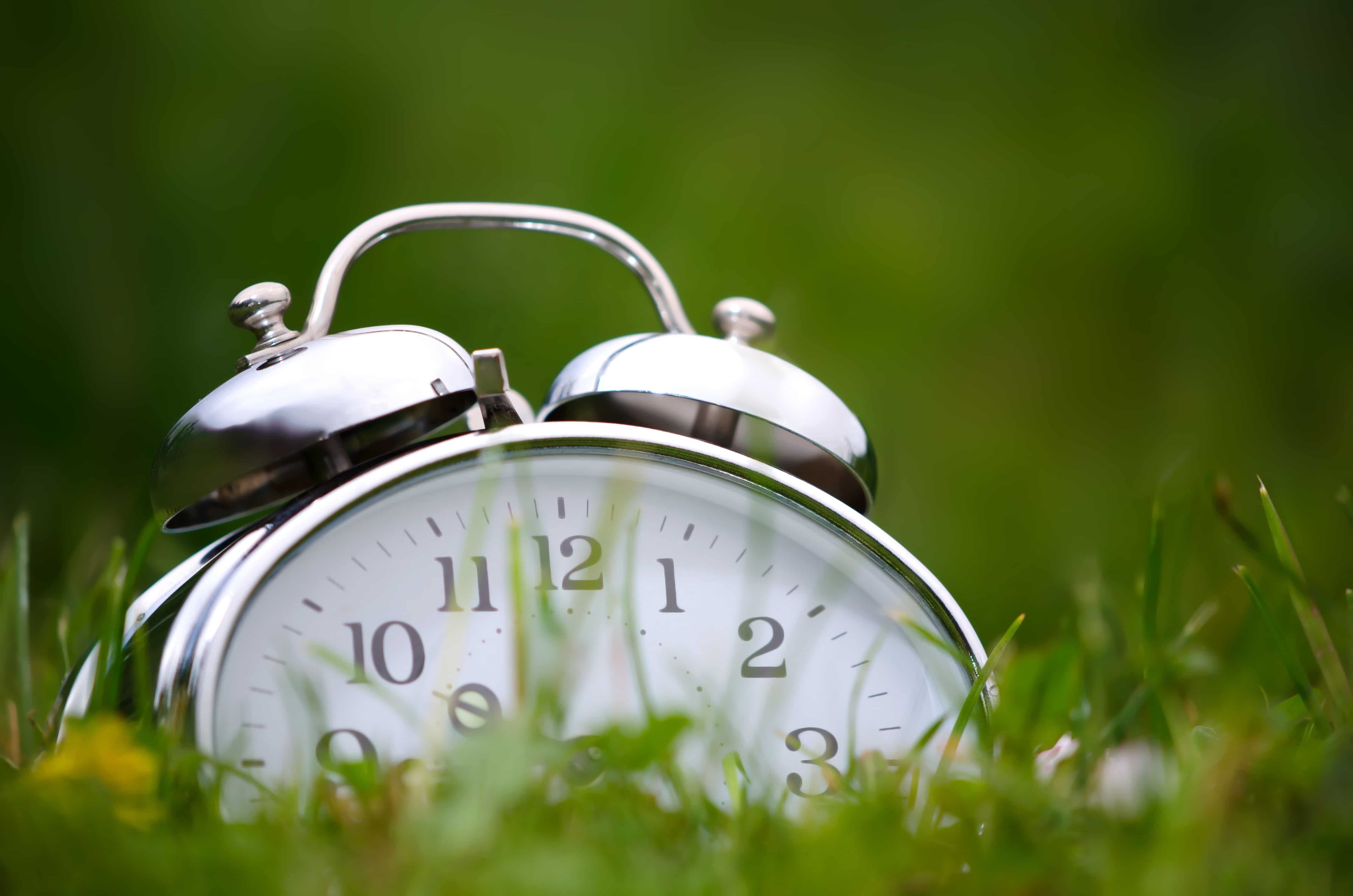 Old metal alarm clock among grass and flowers.