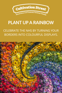 Plant up a rainbow