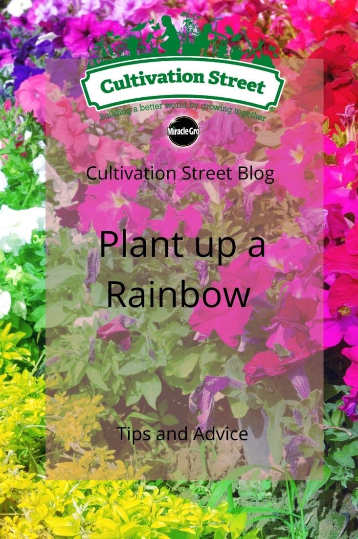 CultivationStreet Blog (3)