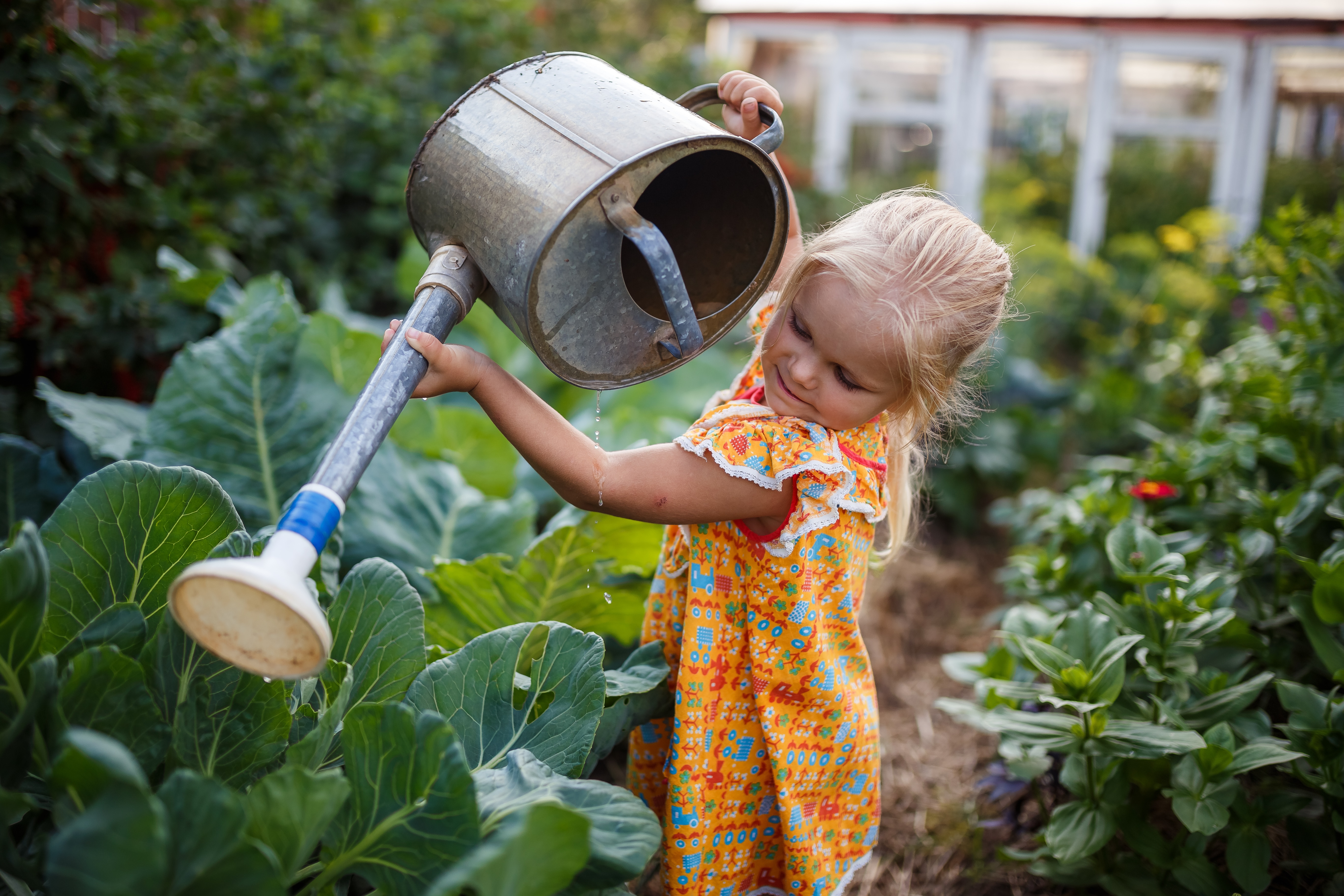 girl child in the garden watering plants, a small gardener, summer in the village