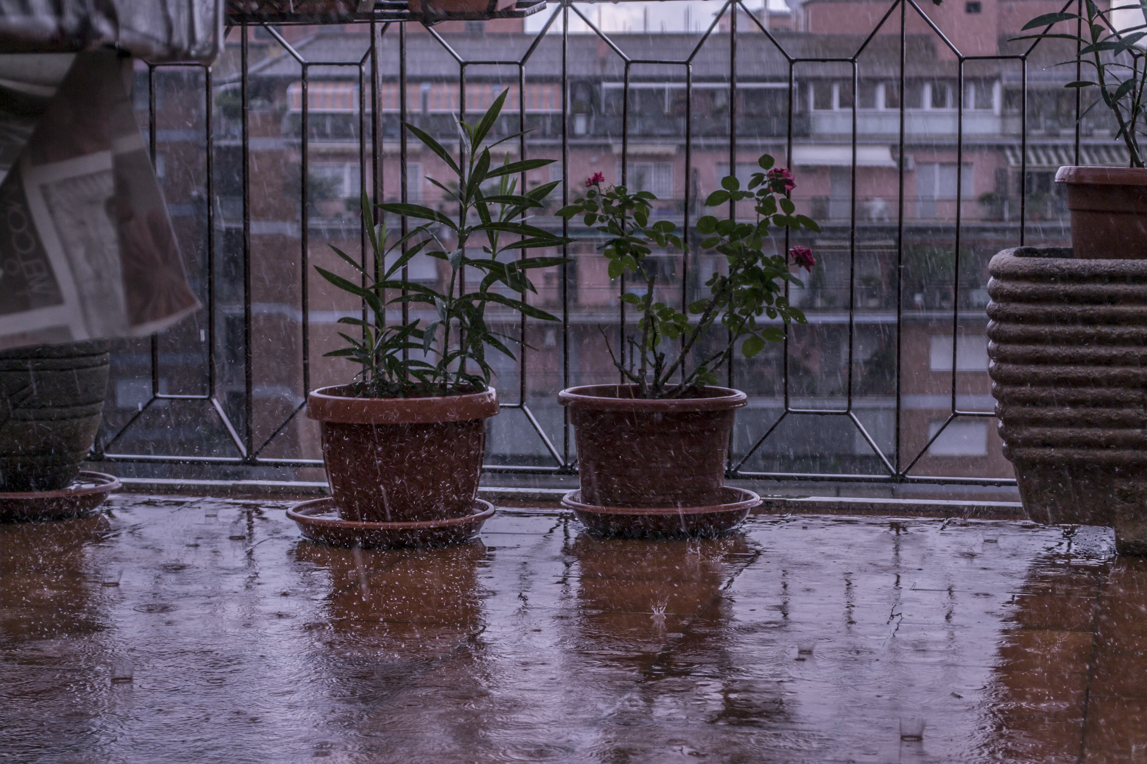 Rainy Day On My Balcony