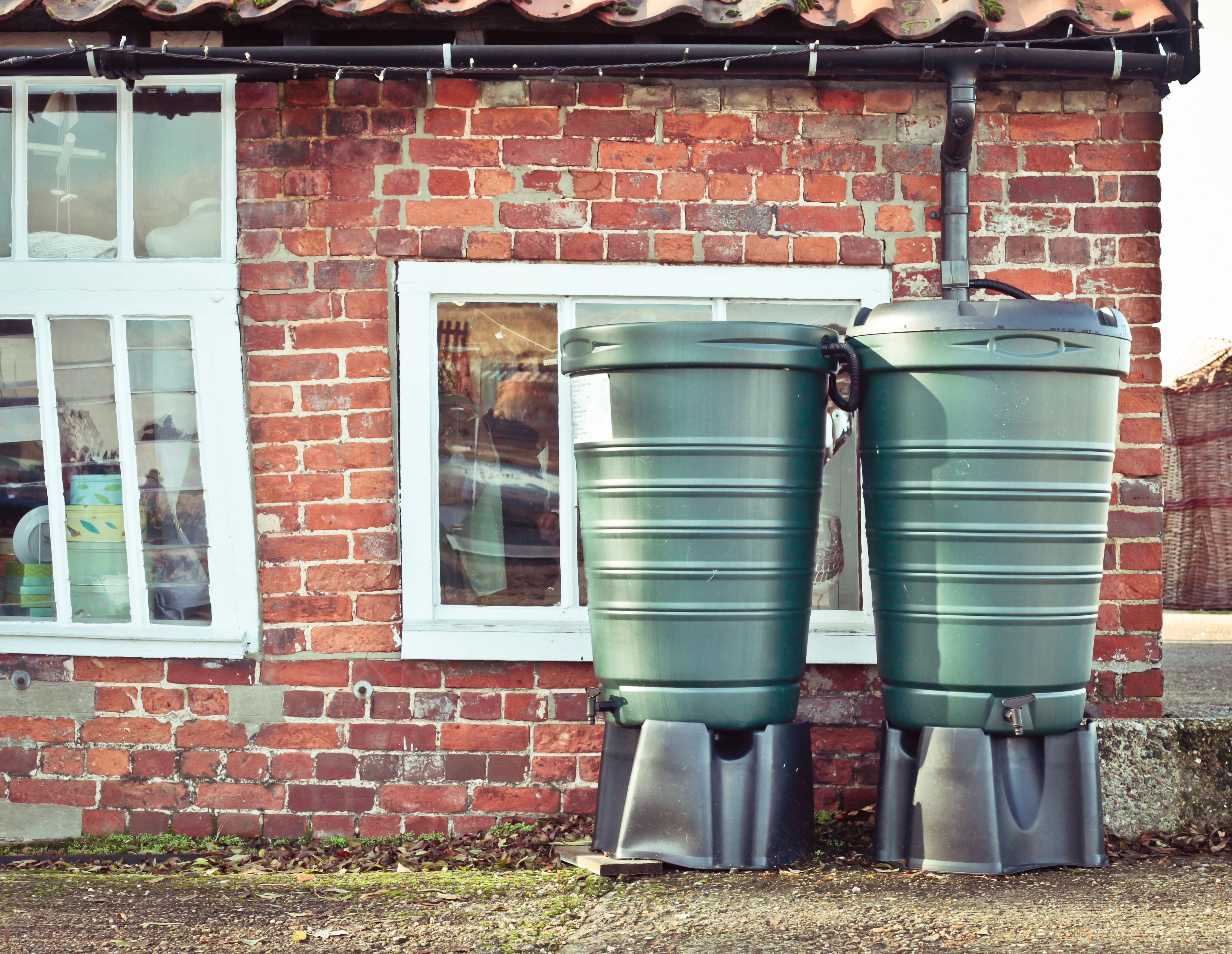 Two water butts collecting rainwater from a gutter