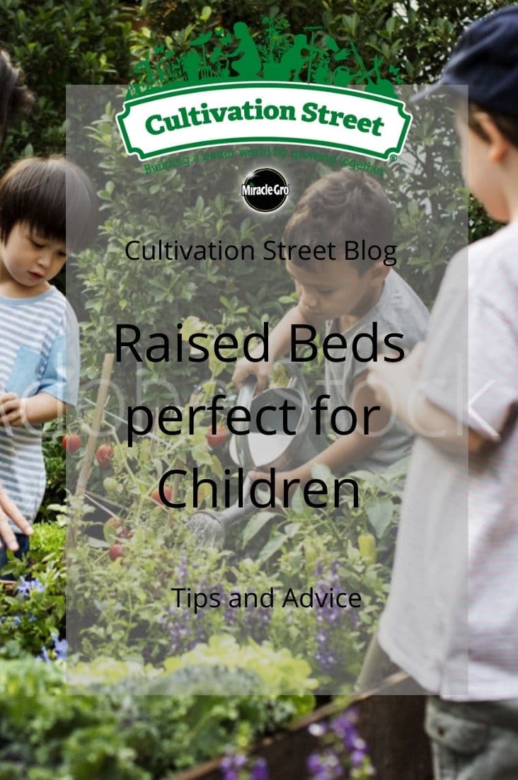 CultivationStreet Blog (3)