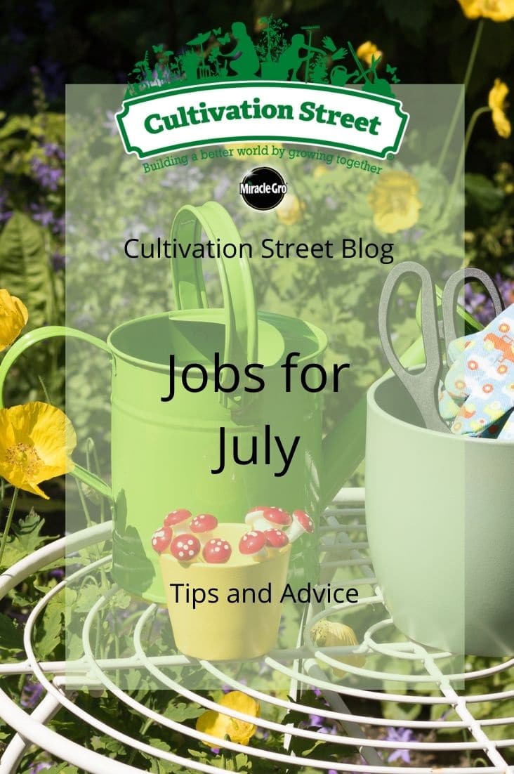 CultivationStreet Blog (3)