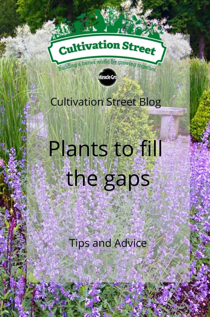 CultivationStreet Blog (4)