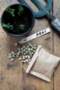 Seeds and Plant Markers