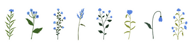Wildflower Banner - Blue