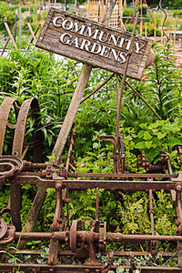 people - Community gardens