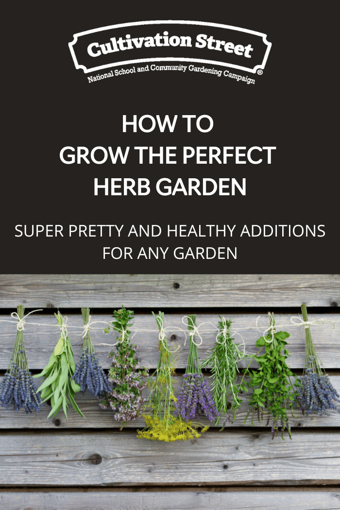 How To Grow The Perfect Herb Garden Cultivation Street 5867