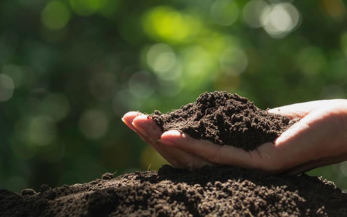 Why should we care about compost? Cultivation Street