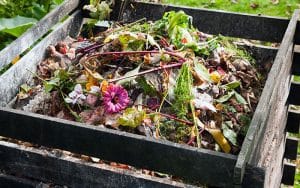 Compost bin with flowers in