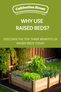 Why use raised beds, feature image