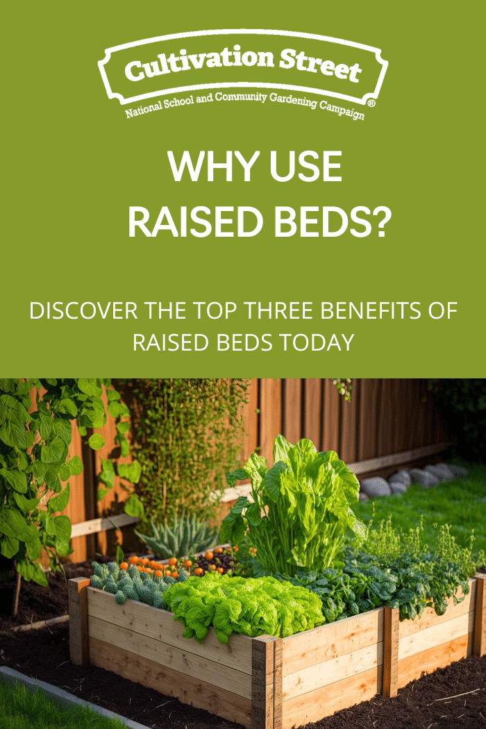 Why use raised beds? - Cultivation Street