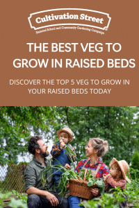 The best veg to grow in raised beds, feature image.
