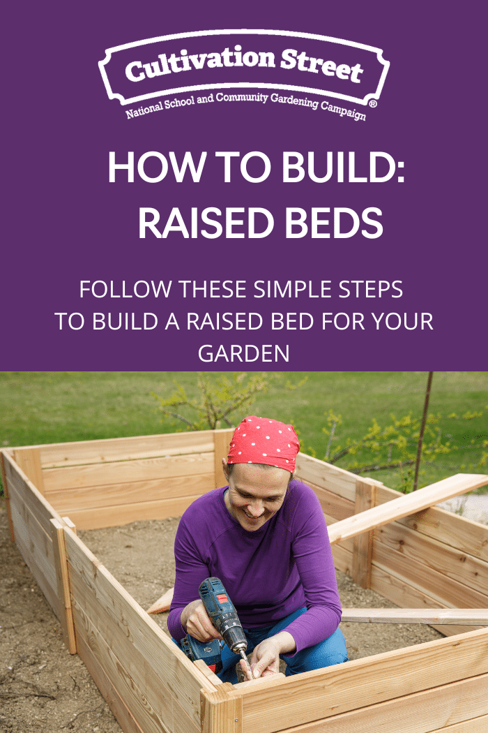 How To Build Raised Beds Cultivation Street