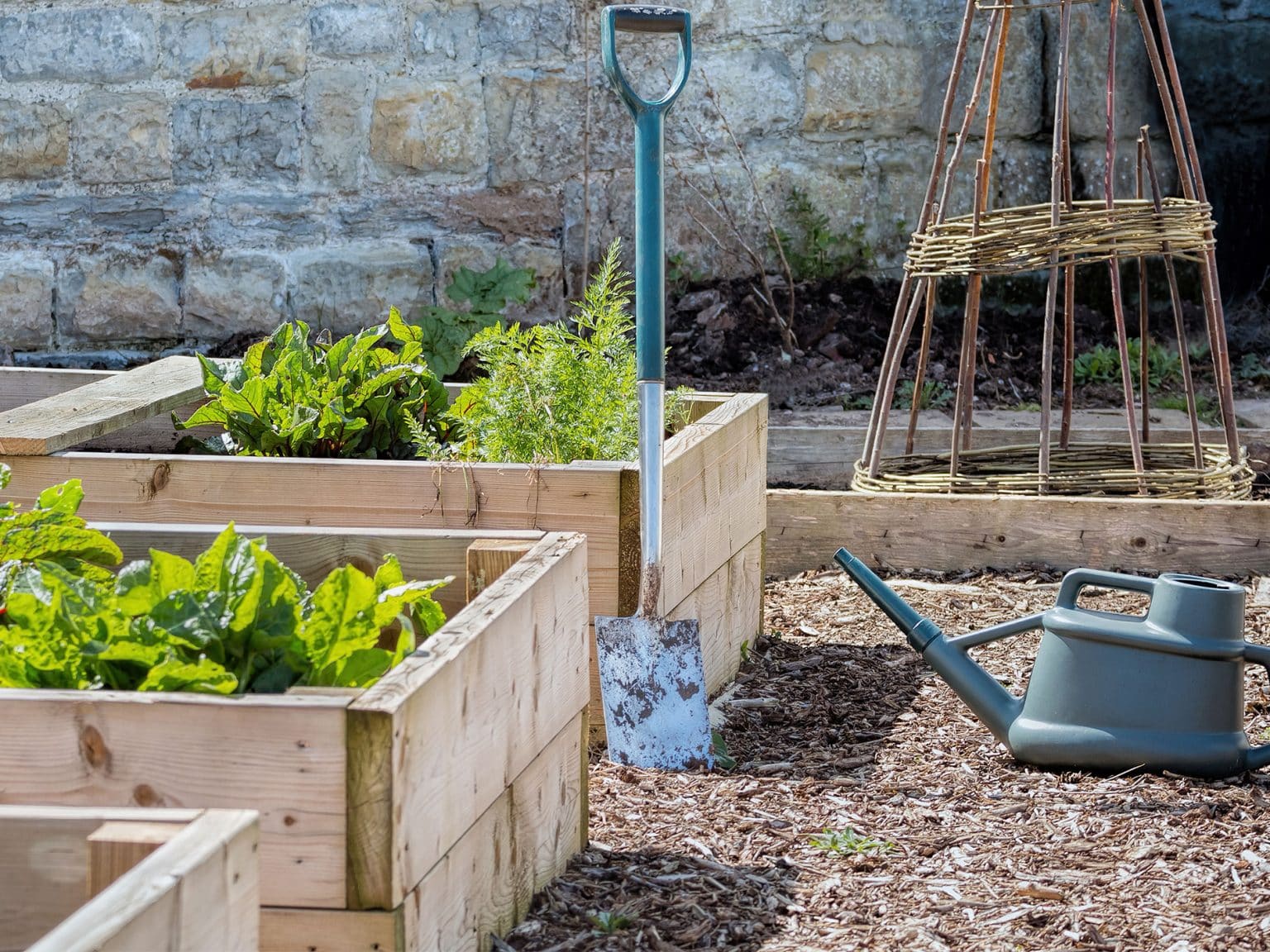 how-to-build-raised-beds-cultivation-street