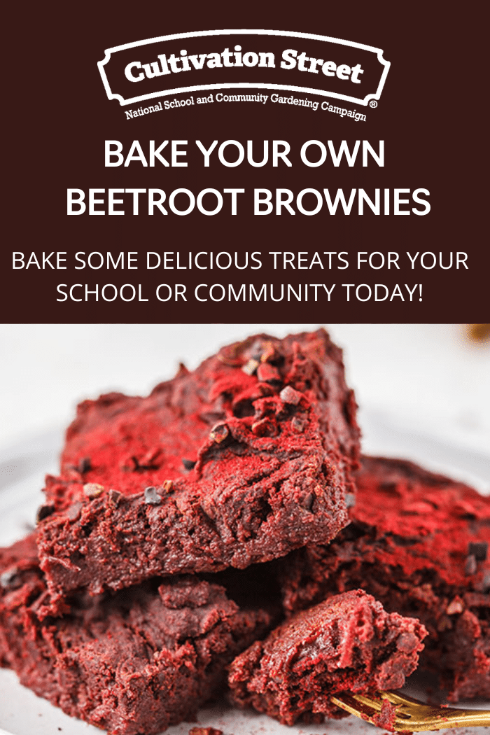 Bake your own beetroot brownie feature image