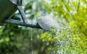 watering can