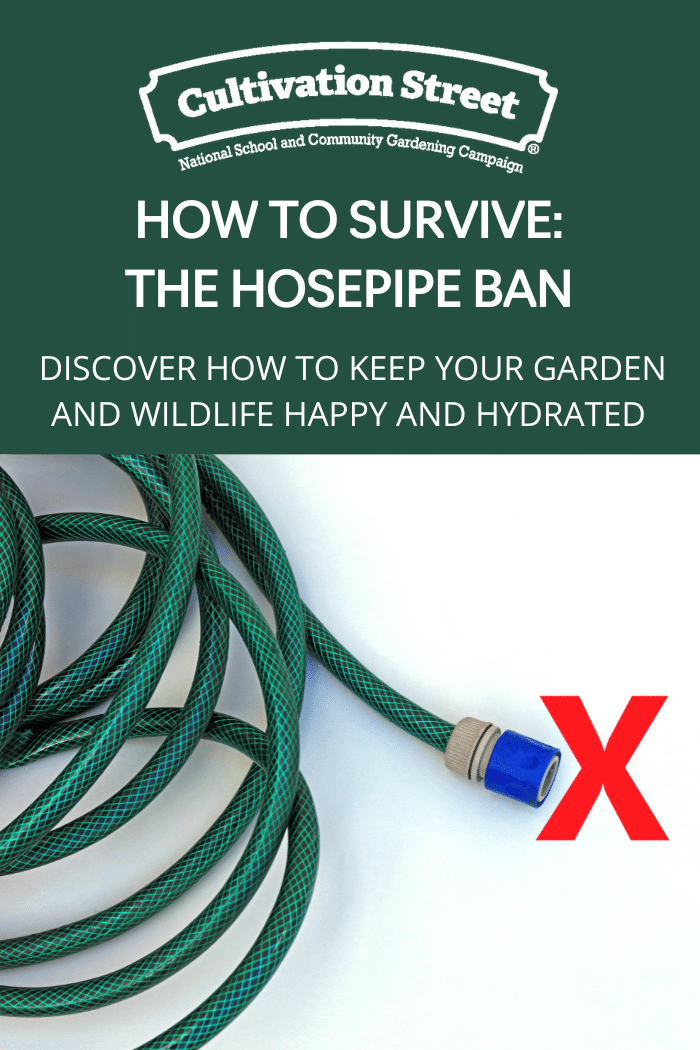 How to survive the hosepipe ban feature image