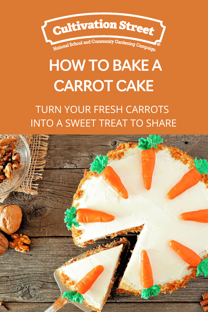 how to bake a carrot cake - feature image
