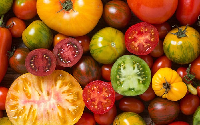 A variety of tomatoes