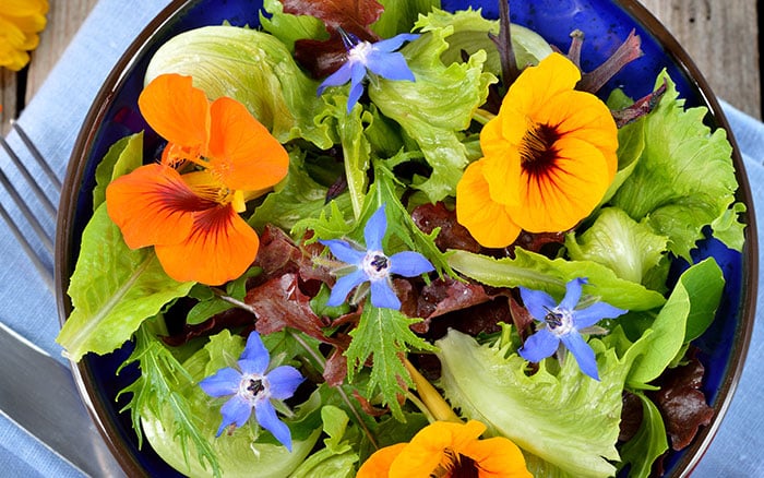 Nasturtium salad