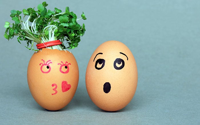 cress growing in eggs with faces