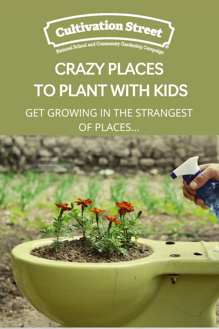 crazy places to plant with kids