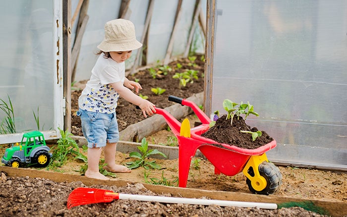 Wheelbarrow gardening